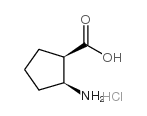 cas no 128110-37-2 is (1R,2S)-(-)-2-Amino-1-cyclopentanecarboxylic acid hydrochloride