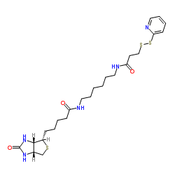 cas no 129179-83-5 is Biotin HPDP