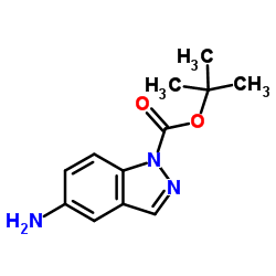 cas no 129488-10-4 is 1-Boc-5-amino-1H-Indazole