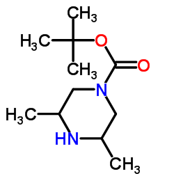 cas no 129779-30-2 is tert-butyl 3,5-dimethylpiperazine-1-carboxylate