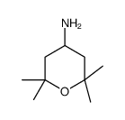 cas no 1301178-43-7 is 2,2,6,6-tetramethyloxan-4-amine