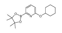 cas no 1310383-05-1 is 2-(CYCLOHEXYLOXY)-6-(4,4,5,5-TETRAMETHYL-1,3,2-DIOXABOROLAN-2-YL)PYRIDINE