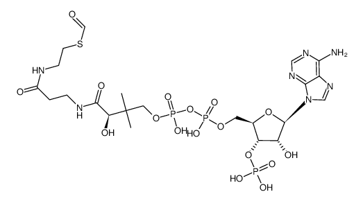 cas no 13131-49-2 is formyl CoA