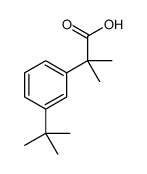 cas no 1313712-10-5 is 2-(3-tert-Butyl-phenyl)-2-Methyl-propionic acid