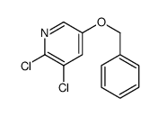 cas no 1314987-39-7 is 5-(Benzyloxy)-2,3-dichloropyridine