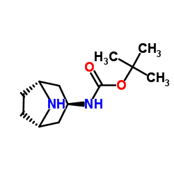 cas no 132234-68-5 is Exo-3-(Boc-amino)-8-azabicyclo[3.2.1]oct
