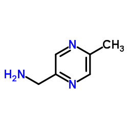 cas no 132664-85-8 is 1-(5-Methyl-2-pyrazinyl)methanamine