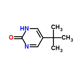 cas no 133271-21-3 is 2(1H)-Pyrimidinone,5-(1,1-dimethylethyl)-(9CI)