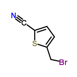cas no 134135-41-4 is 5-(Bromomethyl)thiophene-2-carbonitrile