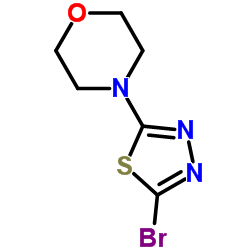 cas no 1341405-19-3 is 4-(5-Bromo-1,3,4-thiadiazol-2-yl)morpholine