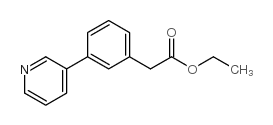 cas no 134163-87-4 is ETHYL(3-PYRIDIN-3-YL-PHENYL)-ACETATE
