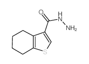 cas no 135840-47-0 is 4,5,6,7-Tetrahydro-1-benzothiophene-3-carbohydrazide