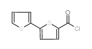 cas no 135887-26-2 is 2,2'-BITHIOPHENE-5-CARBONYL CHLORIDE