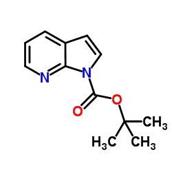 cas no 138343-77-8 is 1-Boc-7-Azaindole