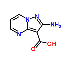 cas no 1394003-86-1 is 2-aminopyrazolo[1,5-a]pyrimidine-3-carboxylic acid