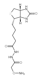 cas no 139585-03-8 is n'-aminooxymethylcarbonylhydrazino-d-biotin