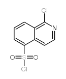 cas no 141519-77-9 is 1-chloroisoquinoline-5-sulfonyl chloride