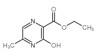 cas no 141872-22-2 is ETHYL 3-HYDROXY-5-METHYLPYRAZINE-2-CARBOXYLATE