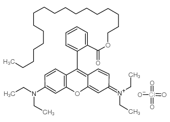 cas no 142179-00-8 is Rhodamine B octadecyl ester perchlorate