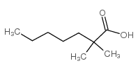 cas no 14250-73-8 is 2,2-dimethylheptanoic acid