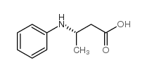 cas no 142925-36-8 is (S)-3-(Phenylamino)butanoic acid