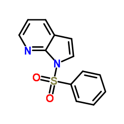 cas no 143141-23-5 is 1-(Phenylsulfonyl)-1H-pyrrolo[2,3-b]pyridine