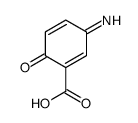 cas no 143228-42-6 is 1,4-Cyclohexadiene-1-carboxylicacid,3-imino-6-oxo-(9CI)