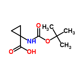 cas no 144243-24-3 is 1-[(Boc)amino] cyclopanecarboxylic acid