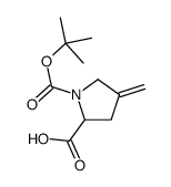cas no 144539-45-7 is 4-Methylene-1-{[(2-methyl-2-propanyl)oxy]carbonyl}proline