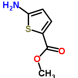 cas no 14597-58-1 is Methyl 5-aminothiophene-2-carboxylate