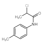 cas no 147372-41-6 is 2-chloro-N-(4-methylphenyl)propanamide