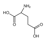 cas no 147732-35-2 is L-GLUTAMIC ACID-[3,4-3H]