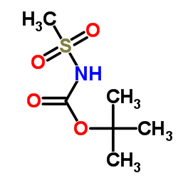 cas no 147751-16-4 is tert-Butyl methylsulfonylcarbamate