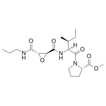 cas no 147859-80-1 is CA-074 methyl ester