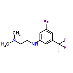 cas no 1480680-65-6 is 1,?2-?Ethanediamine, N2-?[3-?bromo-?5-?(trifluoromethyl)?phenyl]?-?N1,?N1-?dimethyl