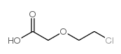 cas no 14869-41-1 is 2-(2-Chloroethoxy)acetic acid