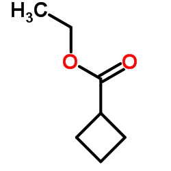 cas no 14924-53-9 is Ethyl cyclobutanecarboxylate