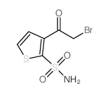 cas no 154127-28-3 is 3-(2-Bromoacetyl)thiophene-2-sulfonamide