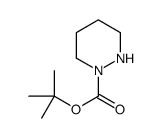 cas no 154972-37-9 is Tert-Butyl Tetrahydro-1(2H)-Pyridazinecarboxylate