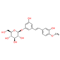 cas no 155-58-8 is Rhapontin