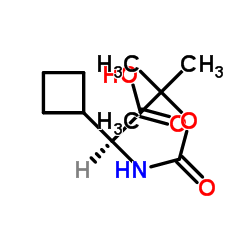cas no 155905-77-4 is Boc-L-Cyclobutylglycine