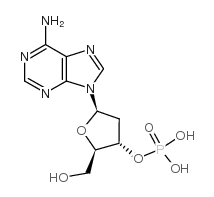 cas no 15731-72-3 is 2'-deoxyadenosine 3'-monophosphate