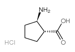 cas no 158414-44-9 is (1R,2R)-2-Aminocyclopetanecarboxylic acid hydrochloride