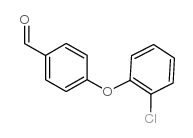 cas no 158771-11-0 is 4-(2-Chlorophenoxy)benzaldehyde