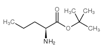 cas no 15911-75-8 is l-norvaline t-butyl ester