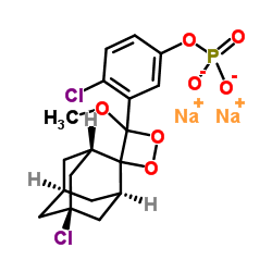 cas no 160081-62-9 is CDP-Star Chemiluminescent Substrate