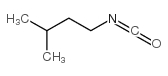 cas no 1611-65-0 is 1-Isocyanato-3-methylbutane