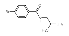 cas no 161768-66-7 is 4-BROMO-N-ISOBUTYLBENZAMIDE