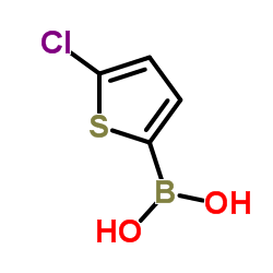 cas no 162607-18-3 is (5-Chloro-2-thienyl)boronic acid