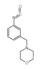 cas no 166740-66-5 is 4-(3-ISOCYANATOBENZYL)MORPHOLINE